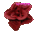 Rosa de globos